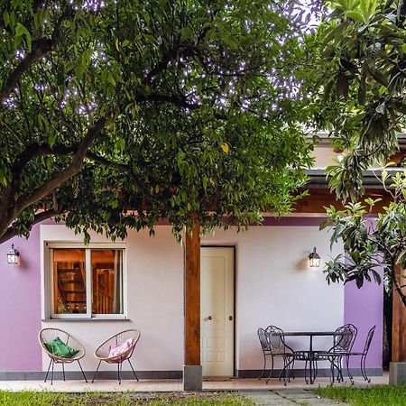 Giardino Carya - Giarre Centro Villa Dış mekan fotoğraf