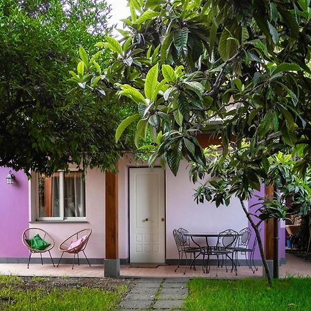 Giardino Carya - Giarre Centro Villa Dış mekan fotoğraf